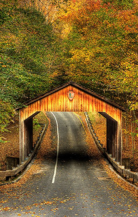 Old Bridges, Sleeping Bear, Covered Bridge, Old Barns, Pure Michigan, Covered Bridges, A Bridge, North Dakota, Water Colour