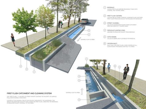 How rainwater gardens could vastly improve water quality in urban environments Landscape Architecture Design, Green Architecture, Water Management, Rain Garden, Street Design, Urban Environment, Sustainable Architecture, Water Quality, Architecture Presentation