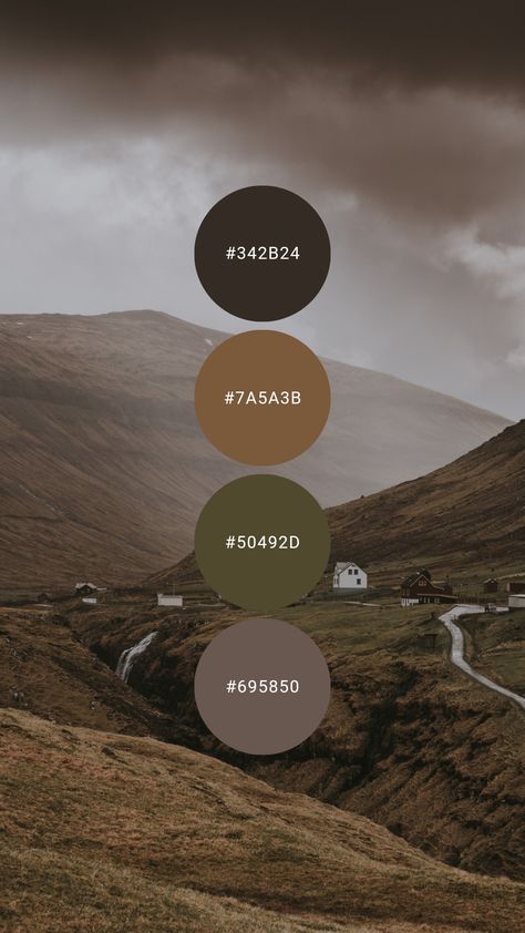 Dark Scandinavian Color Palette, Cozy Earth Tone Color Palette, Dark Earth Tones Colour Palettes, Forest Tones Colour Palettes, Dark Minimalist Color Palette, Neutral Moody Color Palette, Rustic Industrial Color Palette, Moody Modern Color Palette, Earth Tone Color Palette Bedrooms