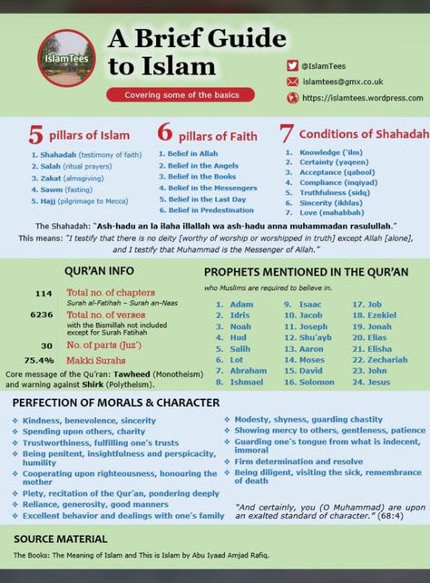 Muslim Words, Prophets In Islam, Ramadan Tips, Islam Lesson, Quran Tafseer, Tajweed Quran, Islam Beliefs, Islamic Information, Ramadan Quotes