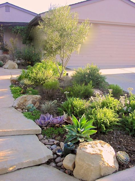 Central Texas Front Yard Landscaping Ideas, Arid Garden, Front Garden Landscaping, Drought Tolerant Landscape Front Yard, Xeriscape Front Yard, Xeriscape Landscaping, Yard Wall, Front Lawn Landscaping, Front Garden Landscape