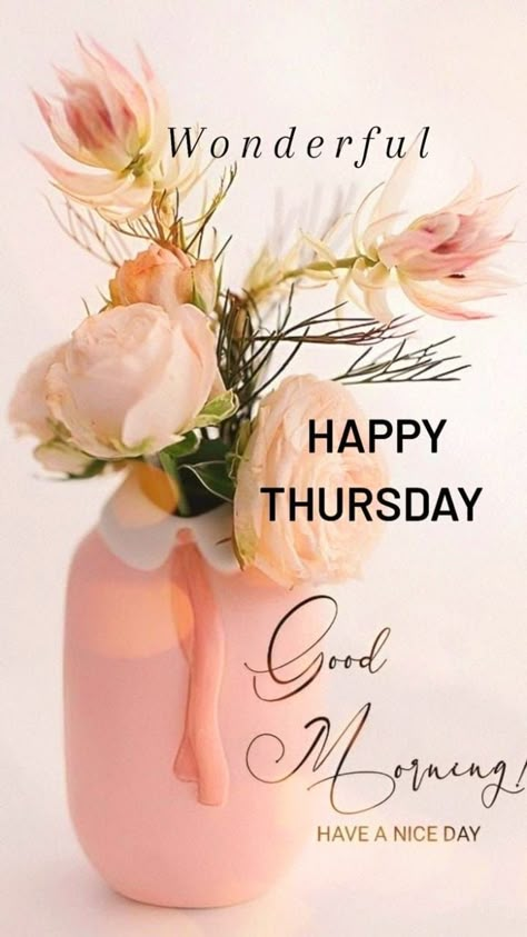 Happy Tuesday Morning Inspiration, Happy Blessed Tuesday, Happy Thursday Images Beautiful, Monday Morning Images, Happy Thursday Morning, Happy Tuesday Morning, Happy Thursday Images, Tuesday Greetings, Good Morning Wishes Friends