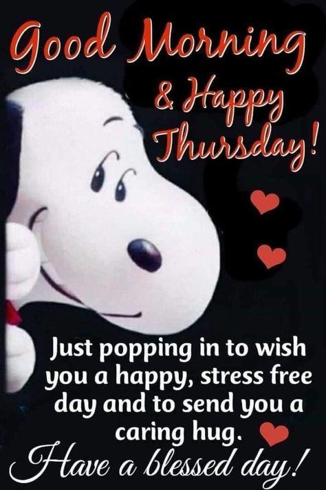 Thursday Morning Quotes, Happy Thursday Morning, Happy Thursday Images, Thursday Greetings, Good Morning Snoopy, Good Morning Happy Thursday, Happy Thursday Quotes, Happy Day Quotes, Good Morning Thursday