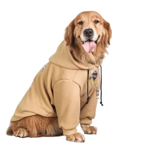 Big Dog Costumes, Big Dog Sweaters, Labrador Golden Retriever, Big Dog Clothes, Large Dog Clothes, Dog Winter Clothes, Border Terrier, Dog Sweatshirt, Big Dog