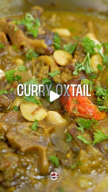 Oxtail Curry, Curried Oxtail Recipes, Curry Oxtail Recipes, Curry Oxtails, Easy Jamaican Oxtail Recipes, Oxtail Recipes Jamaican Dutch Oven, Jamacian Food Oxtail Recipe, Oxtail Recipes, Trini Food