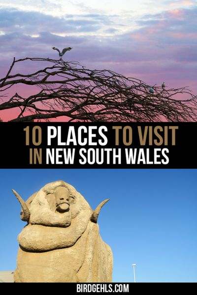 Looking to get a bit off the beaten track in New South Wales, #Australia (or in some cases, the East Coast entirely)? Here are a few alternative destinations worth visiting, such as Orange, Dubbo, Lake Macquarie and Tamworth. / Australian Travel Tips / #NSW / NSW Travel / Visit NSW / #SeeAustralia / Nsw Travel, Holidays Abroad, Beautiful Place In The World, Dream Holidays, Melbourne Travel, Australian Road Trip, Adventure Ideas, Travel England, Australia Travel Guide