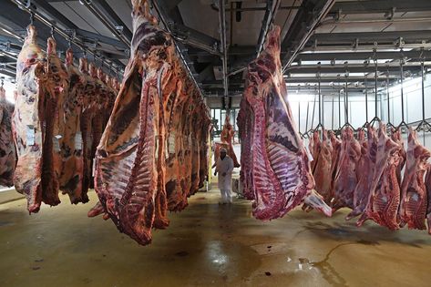 Health Leaders Must Focus on the Threats From Factory Farms - The New York Times Meat Markets, Food Inc, Factory Farming, Butcher Shop, Fresh Meat, Processed Meat, Carne Asada, Food Market, Going Vegan