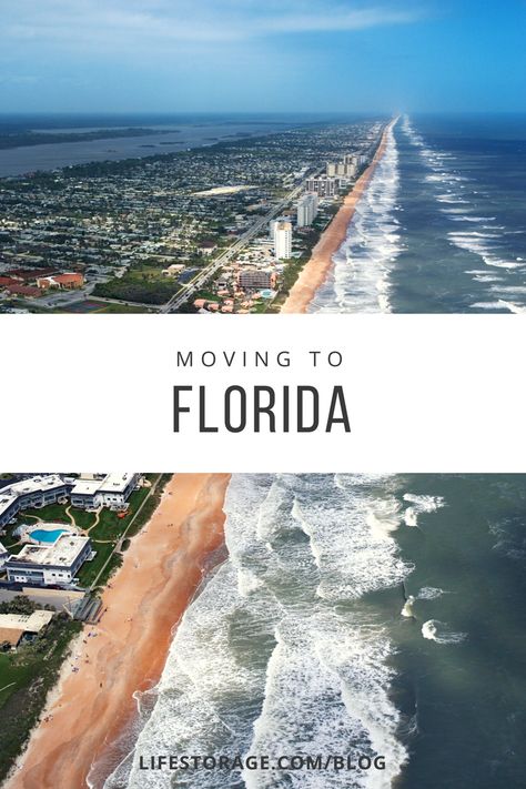 What you need to know about moving to Florida Living In Orlando Florida, Moving To Florida Aesthetic, Florida Essentials, Best Places To Retire In Florida, Houses In Florida, Living In Jacksonville Florida, Beach Towns In Florida, Florida Towns To Live In, Florida Retirement