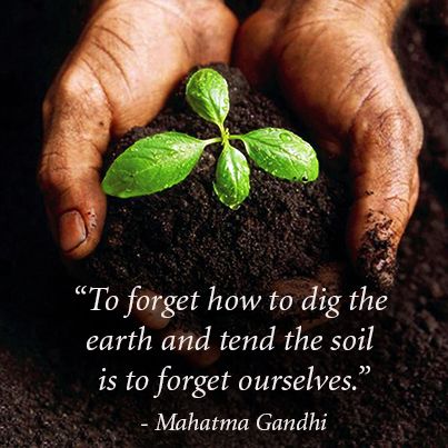 Never lose touch with your inner most self! #soil #earth #inspiration #quote #connect Soil Quotes, Inspiration Quote, Organic Living, Diy Crafts For Kids Easy, Food Garden, Pesticides, Diy Crafts For Kids, Green Thumb, Soil