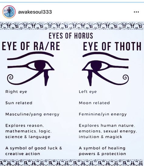 Egyptian Words And Meanings, Eye Of Horus Back Tattoo, Eye Of Ra Design, Eyes Of Horus Tattoo, The Eye Of Ra Tattoo, Eye Of Ra Tattoo Design, Tattoo Eye Of Horus, Eye Of Horus Tattoo Design, Eye Of Thoth