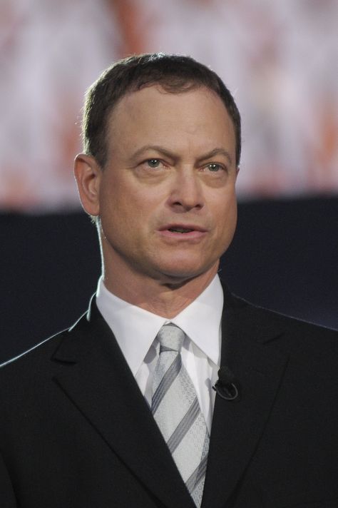 [[ Better Design App No Monthly payment, visit site ]] gary sinise cancels concert appearances after being injured a car Gary Sinise, Design App, A Car, App Design, Concert, Design