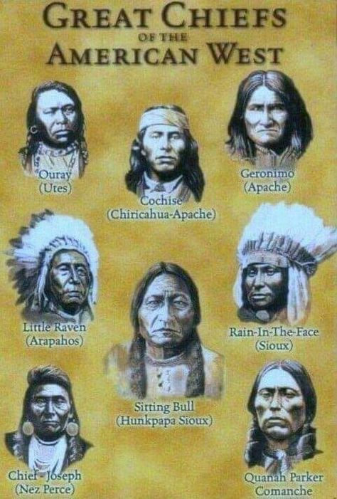 Native American Knowledge, Sioux Nation, Native American Spirituality, Indian Wars, Nature Healing, Native American Wisdom, American Indian History, Native American Warrior, Native American Images