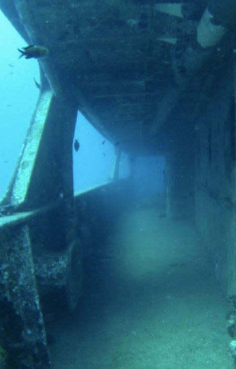 #Malta #Wrecks Port side walkway on the Um El Faroud Underwater Wreckage, Underwater Aesthetic, Side Walkway, Underwater Ruins, Buildings Art, Ship Wrecks, Deadliest Catch, Deep Sea Diving, Underwater City