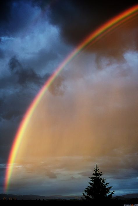 Rainbow Over Bern | Flickr Bern Switzerland, God's Promise, Rainbow Magic, Rainbow Sky, Rainbow Aesthetic, Love Rainbow, Beautiful Rainbow, Beautiful Sky, Bern