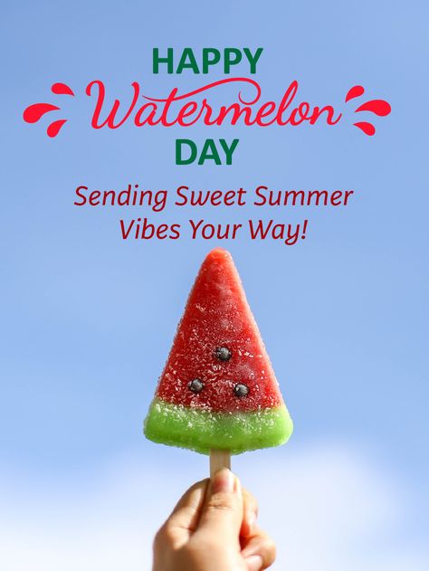 Description: Get ready to beat the heat and embrace the sweetness of National Watermelon Day! Now, it's time to spread the joy by sending e-cards adorned with these mouthwatering watermelon treats! Let your friends and family know how much they mean to you by surprising them with these delightful e-cards. Don't miss the chance to share the sweetness and warmth of the season with virtual hugs and sunny greetings! Watermelon Treats, Virtual Hugs, National Watermelon Day, Watermelon Popsicles, Watermelon Day, Birthday Reminder, Virtual Hug, E Cards, Birthday Calendar