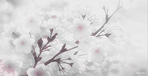 Pretty Banner Gif, White Aesthetic Header Gif, White Animated Banner, Cute Headers Gif, Gif White Banner, Pretty Discord Banners, White Anime Aesthetic Gif, White Anime Banner Gif, Nitro Banner Discord