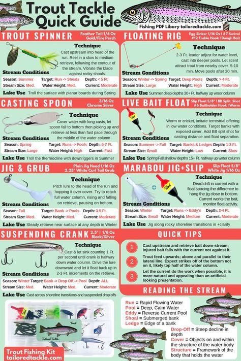 Trout Fishing Gear, Fish Chart, Trout Fishing Lures, Rainbow Trout Fishing, Trout Fishing Tips, Fishing For Beginners, Bass Fishing Tips, Fishing Diy, Fishing Rigs