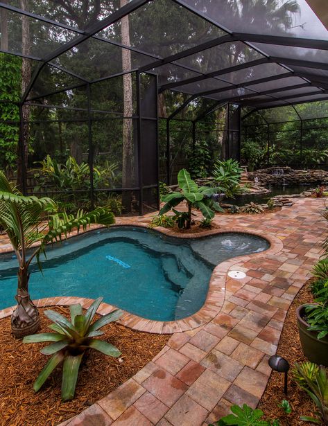 Brancucci - Tropical - Pool - Tampa - by Hive Outdoor Living | Houzz Tropical Pool Oasis, Indoor Pool Garden, Pool Inside Greenhouse, Lanai Landscape Ideas, Greenhouse With Pool Inside, Green House Pool Ideas, Florida Lanai Pool Design Ideas, Greenhouse Pool Enclosure, Pool In Greenhouse