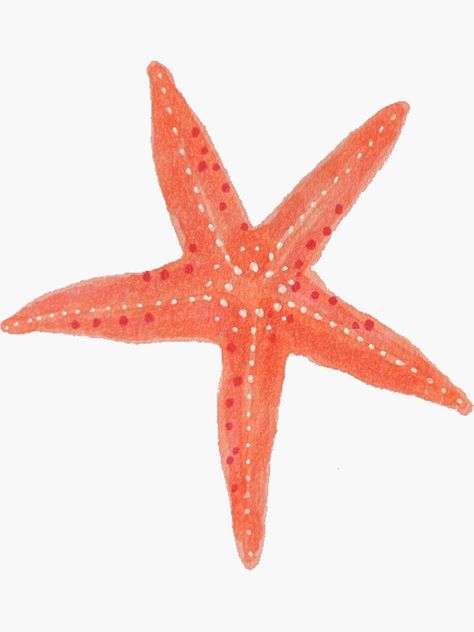 "cute starfish " Sticker for Sale by Maddy Gaukroger Starfish Widget, Starfish Sticker, Starfish Colors, Orange Starfish, Starfish Painting, Cute Starfish, Pink Starfish, 2024 Ideas, Room Painting