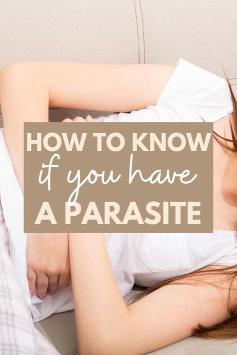 Has your digestive health been bad lately? Are you wondering how to improve it with natural remedies? You may have a parasite, which are more common that you would expect. Find out if your symptoms indicate you have a parasite, how to treat a parasite, and my personal experience. #parasite #digestivehealth #naturalremedies Parasites Symptoms, Dietitian Tips, Stool Sample, Intestinal Parasites, Stomach Pain, Intuitive Eating, Health Magazine, Nutrition Information, Nutrition Tips