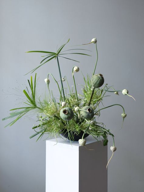 Gallery 3 — Aiku Floral Aiku Floral, Green Arrangements, Botanical Studies, First Flowers Of Spring, Arreglos Ikebana, Greenery Arrangements, Modern Floral Design, Ikebana Flower Arrangement, Flower School