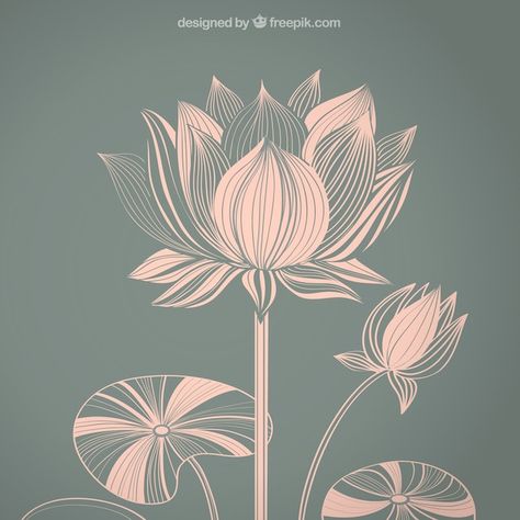 Abstract Lotus Flower, Lotus Flower Illustration, Lotus Illustration, Abstract Lotus, Lotus Flower Pattern, Lotus Drawing, Lotus Vector, Lotus Logo, Flower Tattoo Drawings