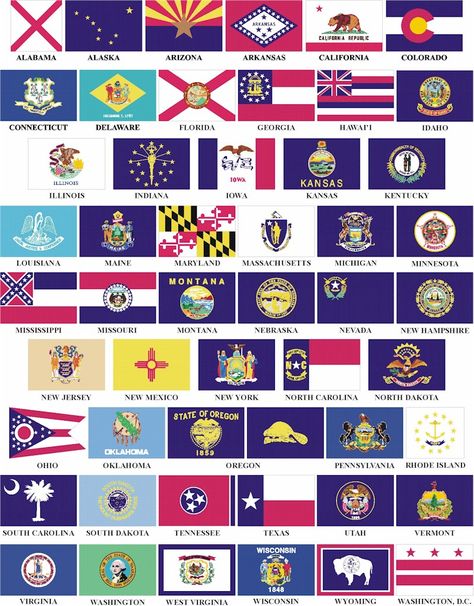 State Flags ~ Every State of United States of America has an individual flag, representing their respective state.USA state flags are based on the history of the state which is in turn based on the regional influences Tikkun Olam, Us States Flags, Trip Activities, State Of Oregon, United States Flag, Usa States, Skate Shop, History Photos, U.s. States