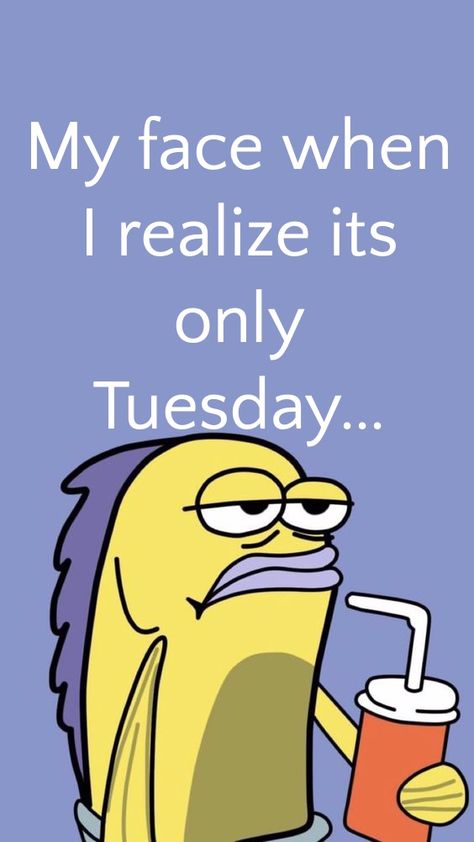 Its Only Tuesday Humor, Funny Tuesday Quotes Hilarious, Quotes About Tuesday, Tuesday Humor Funny Hilarious, Mavis Outfit, Tuesday Humor Funny Hilarious Laughing, Funny Tuesday Quotes, Tuesday Quotes Funny, Funny Tuesday