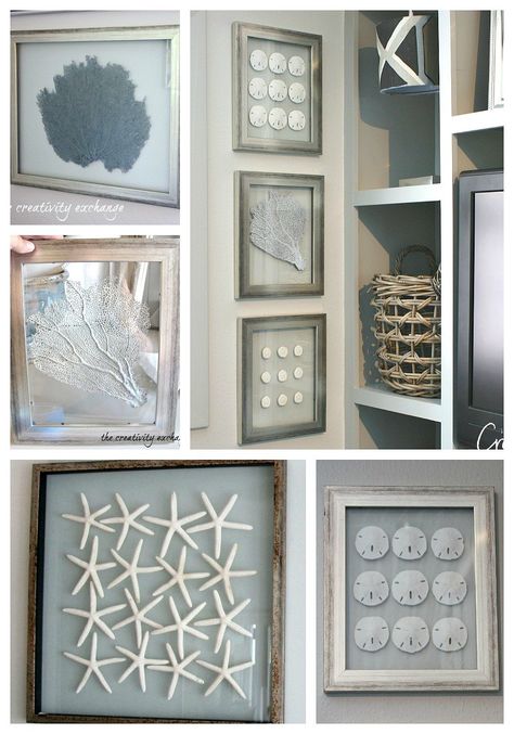 Diy Ocean Decor, Organizing Pictures, Repurpose Picture Frames, Sand Dollar Craft, Diy Coastal Decor, Sand Dollar Art, Art On The Wall, Sea Life Wall Art, Frame Love