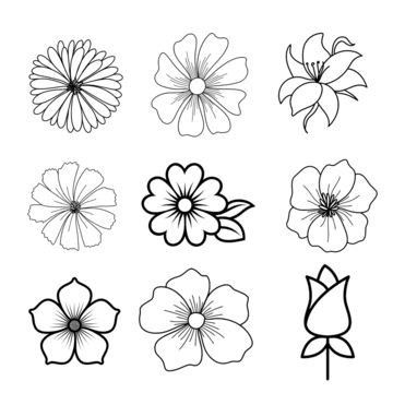 Different Type Of Flowers Drawings, Types Of Flowers Sketch, Drawable Flowers, Flower Line Sketch, Doodle Flower Drawings, 2d Flower Drawing, Cute Drawings Flowers Simple, All Types Of Flowers Drawing, Single Flower Drawing Simple