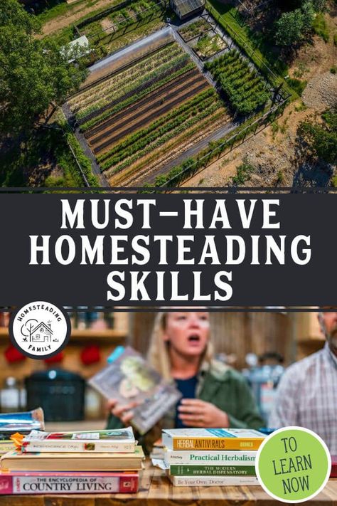 Learning basic homesteading skills is the best approach for sustainable living in urban or rural settings. Use this guide to get started. Apartment Backyard, Homestead Property, Countryside Kitchen, Homesteading Animals, Pruning Fruit Trees, Homestead Kitchen, Small Fence, Kitchen Skills, Homesteading Skills