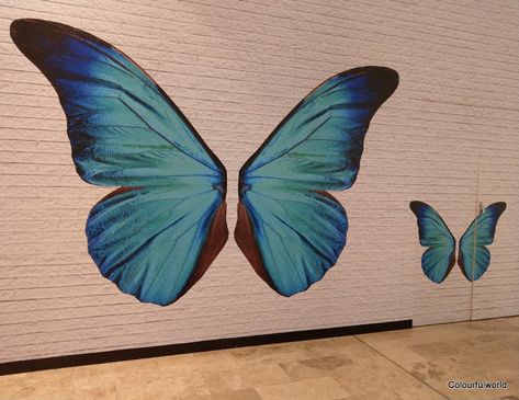 Butterfly Wings Painting On Wall, Butterfly Wall Mural Paint, Butterfly Wing Mural, Butterfly Mural Wall Painting, Butterfly Wings Mural, Wings Wall Mural, Butterfly Wall Painting, Butterfly Mural, Simple Wall Paintings