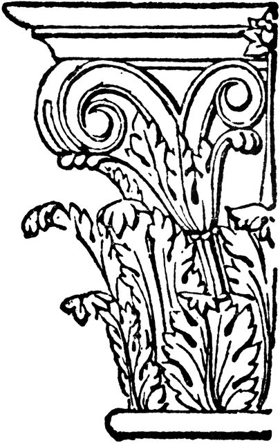 Volute of the Corinthian Capital Corinthian Order Drawing, Corinthian Columns, Corinthian Column Drawing, Ionic Column Sketch, Corinthian Pillar, Ionic Order, Doric Ionic Corinthian Columns, Corinthian Capital, Architecture Drawing