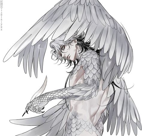 Monster Boy Oc, Wings Drawing, Mythical Creatures Art, Character Design References, Anime Poses Reference, Boy Art, Drawing Reference Poses, Art Inspiration Drawing, Creature Art