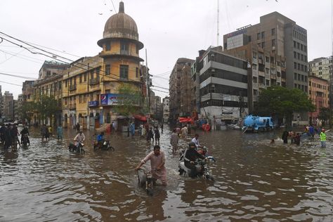 Monsoons flooded the streets of Karachi in July. Photo by ASIF HASSAN/AFP via Getty ImagesMore than 1,000 people have died in devastating flooding. The post A ‘monsoon on steroids’ has submerged a third of Pakistan appeared first on Popular Science. Storm Water Drain, Monsoon Rain, Khyber Pakhtunkhwa, Sea Level Rise, July 25, Sea Level, International News, Metropolis, Natural Disasters