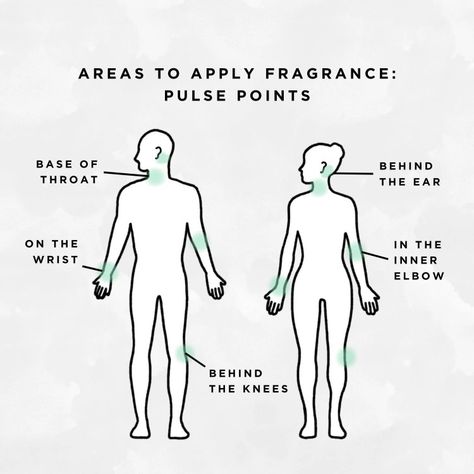 Perfume Pulse Points, Pulse Points For Perfume, Pulse Points Perfume, Perfume Points, How To Apply Perfume, Apply Perfume, Wear Perfume, Pulse Points, Cologne Spray