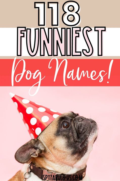 If you're a dog lover with a sense of humor, why not use your dog's name as an opportunity to make you and everyone else smile everytime they hear it? These names offer a wide range of funny choices, from puns, to famous people, and even food inspiration. Find your next favorite funny dog name here. #funny #dognames #petnames Name Of Dog, Funny Puppy Names, Food Names For Dogs, Food Dog Names, Funny Pet Names, Fun Dog Names, Alcohol Dog Names, Funny Dog Names Boy, Funny Names For Dogs