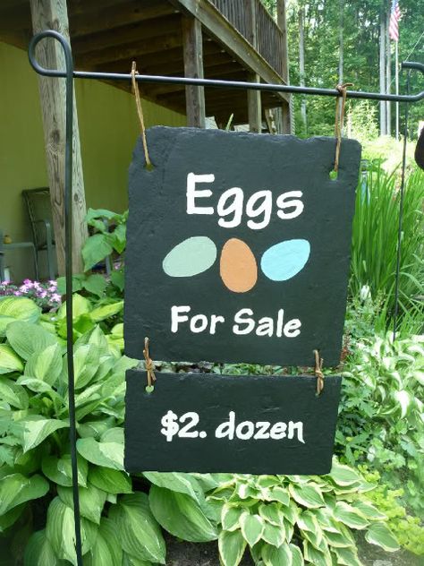 Eggs for sale sign Birdhouse Signs, Eggs For Sale Sign, Farm Signage, Chicken Backyard, Farm Fresh Eggs Sign, Fresh Eggs Sign, Selling Eggs, Best Egg Laying Chickens, Backyard Signs