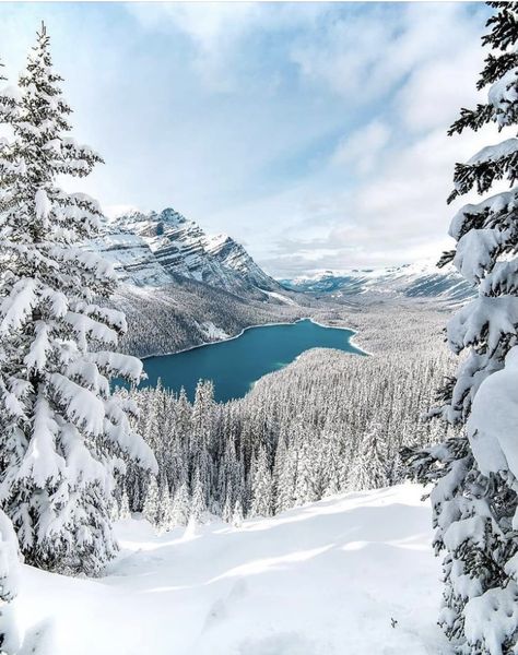 Peyto Lake Canada, Home Stead, Peyto Lake, Magical Winter, Mountain Photos, Photo Nature, Canadian Rockies, Winter Pictures, Winter Wonder