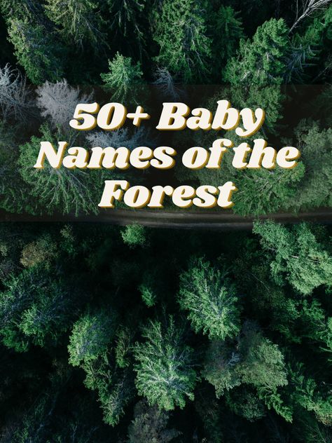 Tree Names For Babies, Forest Names Girl, Forest Name Ideas, Fantasy Forest Names Ideas, Forest Names Nature, Forest Names, Forest Related Names, Fantasy Names With Meaning, Names That Mean Forest