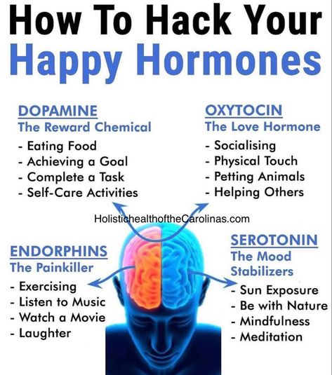 Meet with a board certified holistic health practitioner and do your testing at home! Virtual doctors appointments and follow ups. Healthy Lifestlye, Happy Hormones, Home Doctor, Physical Touch, Natural Therapy, Hormone Health, Healthy Meals For Kids, Self Care Activities, Natural Wellness