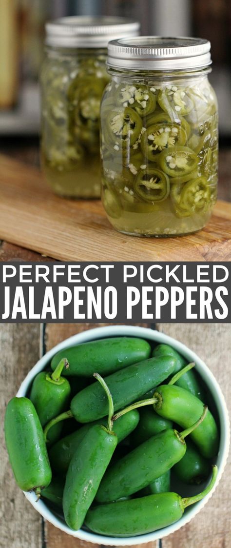 Make Perfect Pickled Jalapeño Peppers with this easy canning recipe. These are super hot and spicy with a bit of zip! Pickled Jalapeno Recipe, Canning Peppers, Pickled Jalapeno Peppers, Canned Jalapenos, Pickled Jalapenos, Jalapeño Peppers, Easy Canning, Pickled Jalapeño, Pastas Recipes