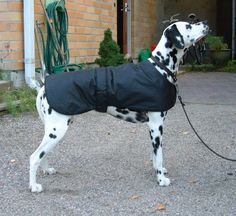 Noppa’s Sewing Club: Quick Dog Coat Pattern    Here’s a nice looking winter dog coat that you can make using fabric from your old rain coat Large Dog Coats, Diy Dog Sweater, Large Dog Sweaters, Dog Coat Pattern, Dog Clothes Diy, Dog Winter Coat, Dog Raincoat, Dog Clothes Patterns, Coat Outfit