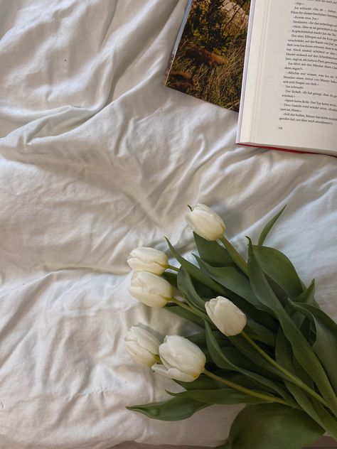 Instagram feed filler white tulips on bed Feed Filler, White Feed, Green Inspo, Beach House Wall Art, Plants Are Friends, Cream Aesthetic, Story Ideas Pictures, Instagram White, White Tulips