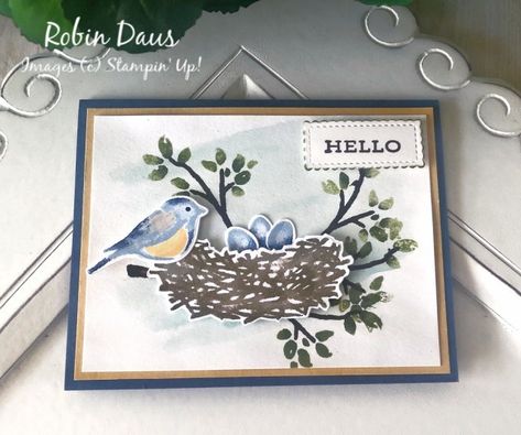 Cards With Birds, Snow Bird, Winter Wishes, Bird Stamp, Hello Cards, Bird On Branch, Bird Cards, Cards Ideas, Stamping Up Cards