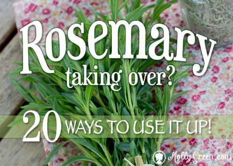 Fresh Rosemary Recipes, Rosemary Growing, Rosemary Lemonade, Rosemary Butter, Drying Fresh Herbs, Fresh Herb Recipes, Lemon Bath, Rosemary Recipes, Rosemary Herb