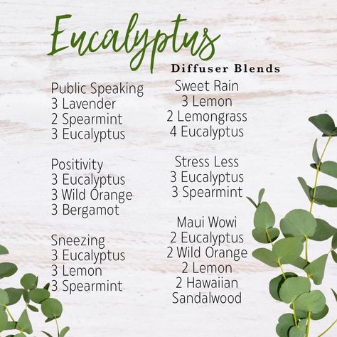 Eucalyptus Spearmint Essential Oil Blend, Diffuser Scents, Doterra Essential Oils Recipes, Essential Oil Diffuser Blends Recipes, Spearmint Essential Oil, Sweet Rain, Diffuser Recipes, Wild Orange, Essential Oil Diffuser Blends