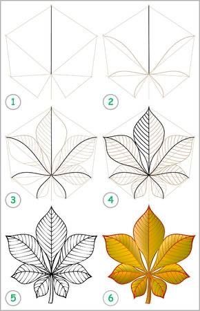 Plants Doodle, Doodle Step By Step, Modele Zentangle, Plant Doodle, Easy Flower Drawings, Flower Drawing Tutorials, Flower Art Drawing, Illustration Botanique, Leaf Drawing