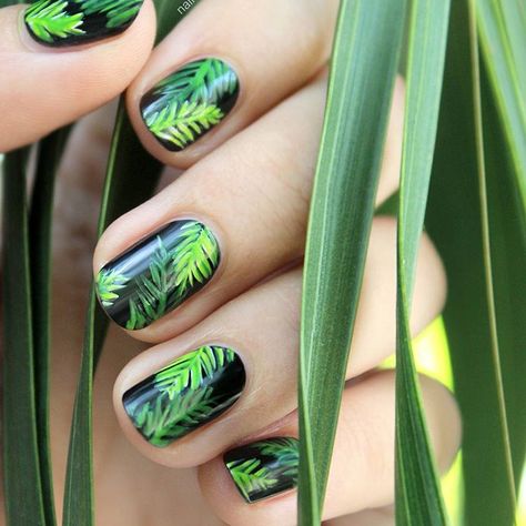 See this Instagram photo by @nailscope • 213 likes Nail Art Vert, Tropical Nail Art, Palm Tree Nails, Tropical Nails, Nail Color Trends, Tree Nails, Green Nail Designs, Her Nails, Nail Stamping