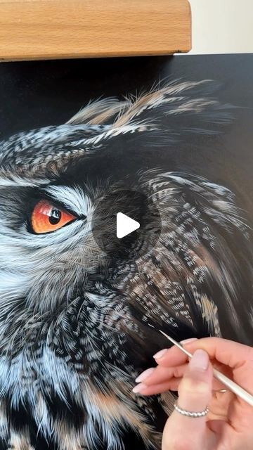 Easy Owl Painting, Owl Acrylic Painting, Owl Painting Acrylic, Painted Owls, Owl Feathers, Owl Images, White Owl, Wildlife Artists, Owl Painting